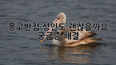 몽고반점, 성인도 괜찮을까요? 궁금증 해결!